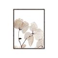 Picture of Sepia Botanic _GroupedProduct_Rectangle_Portrait_Photography _GroupedProduct_Rectangle_Portrait_Canvas_Framed_