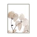 Picture of Sepia Botanic _GroupedProduct_Rectangle_Portrait_Photography _GroupedProduct_Rectangle_Portrait_Canvas_Framed_