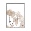 Picture of Sepia Botanic _GroupedProduct_Rectangle_Portrait_Photography _GroupedProduct_Rectangle_Portrait_Canvas_Framed_
