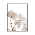 Picture of Sepia Botanic _GroupedProduct_Rectangle_Portrait_Photography _GroupedProduct_Rectangle_Portrait_Canvas_Framed_
