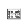 Picture of Sipping Zebras  _GroupedProduct_Rectangle_Landscape_Photography _GroupedProduct_Rectangle_Landscape_Canvas_Framed_