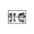 Picture of Sipping Zebras  _GroupedProduct_Rectangle_Landscape_Photography _GroupedProduct_Rectangle_Landscape_Canvas_Framed_