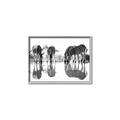 Picture of Sipping Zebras  _GroupedProduct_Rectangle_Landscape_Photography _GroupedProduct_Rectangle_Landscape_Canvas_Framed_