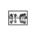 Picture of Sipping Zebras  _GroupedProduct_Rectangle_Landscape_Photography _GroupedProduct_Rectangle_Landscape_Canvas_Framed_