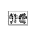 Picture of Sipping Zebras  _GroupedProduct_Rectangle_Landscape_Photography _GroupedProduct_Rectangle_Landscape_Canvas_Framed_