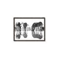 Picture of Sipping Zebras  _GroupedProduct_Rectangle_Landscape_Photography _GroupedProduct_Rectangle_Landscape_Canvas_Framed_