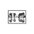 Picture of Sipping Zebras  _GroupedProduct_Rectangle_Landscape_Photography _GroupedProduct_Rectangle_Landscape_Canvas_Framed_