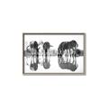 Picture of Sipping Zebras  _GroupedProduct_Rectangle_Landscape_Photography _GroupedProduct_Rectangle_Landscape_Canvas_Framed_