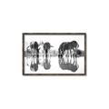 Picture of Sipping Zebras  _GroupedProduct_Rectangle_Landscape_Photography _GroupedProduct_Rectangle_Landscape_Canvas_Framed_