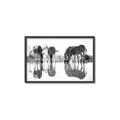 Picture of Sipping Zebras  _GroupedProduct_Rectangle_Landscape_Photography _GroupedProduct_Rectangle_Landscape_Canvas_Framed_