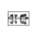 Picture of Sipping Zebras  _GroupedProduct_Rectangle_Landscape_Photography _GroupedProduct_Rectangle_Landscape_Canvas_Framed_