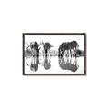 Picture of Sipping Zebras  _GroupedProduct_Rectangle_Landscape_Photography _GroupedProduct_Rectangle_Landscape_Canvas_Framed_