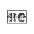 Picture of Sipping Zebras  _GroupedProduct_Rectangle_Landscape_Photography _GroupedProduct_Rectangle_Landscape_Canvas_Framed_