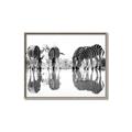 Picture of Sipping Zebras  _GroupedProduct_Rectangle_Landscape_Photography _GroupedProduct_Rectangle_Landscape_Canvas_Framed_