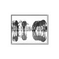Picture of Sipping Zebras  _GroupedProduct_Rectangle_Landscape_Photography _GroupedProduct_Rectangle_Landscape_Canvas_Framed_