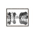 Picture of Sipping Zebras  _GroupedProduct_Rectangle_Landscape_Photography _GroupedProduct_Rectangle_Landscape_Canvas_Framed_
