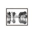 Picture of Sipping Zebras  _GroupedProduct_Rectangle_Landscape_Photography _GroupedProduct_Rectangle_Landscape_Canvas_Framed_