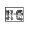 Picture of Sipping Zebras  _GroupedProduct_Rectangle_Landscape_Photography _GroupedProduct_Rectangle_Landscape_Canvas_Framed_