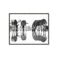 Picture of Sipping Zebras  _GroupedProduct_Rectangle_Landscape_Photography _GroupedProduct_Rectangle_Landscape_Canvas_Framed_