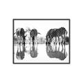 Picture of Sipping Zebras  _GroupedProduct_Rectangle_Landscape_Photography _GroupedProduct_Rectangle_Landscape_Canvas_Framed_