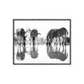 Picture of Sipping Zebras  _GroupedProduct_Rectangle_Landscape_Photography _GroupedProduct_Rectangle_Landscape_Canvas_Framed_