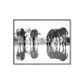 Picture of Sipping Zebras  _GroupedProduct_Rectangle_Landscape_Photography _GroupedProduct_Rectangle_Landscape_Canvas_Framed_