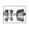 Picture of Sipping Zebras  _GroupedProduct_Rectangle_Landscape_Photography _GroupedProduct_Rectangle_Landscape_Canvas_Framed_