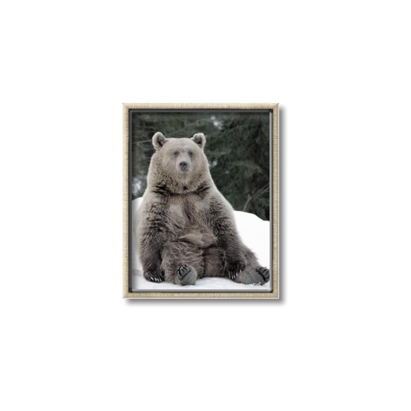 Picture of Snowy Bear _GroupedProduct_Rectangle_Portrait_Photography _GroupedProduct_Rectangle_Portrait_Canvas_Framed_