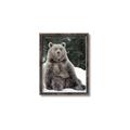 Picture of Snowy Bear _GroupedProduct_Rectangle_Portrait_Photography _GroupedProduct_Rectangle_Portrait_Canvas_Framed_