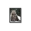 Picture of Snowy Bear _GroupedProduct_Rectangle_Portrait_Photography _GroupedProduct_Rectangle_Portrait_Canvas_Framed_