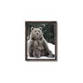 Picture of Snowy Bear _GroupedProduct_Rectangle_Portrait_Photography _GroupedProduct_Rectangle_Portrait_Canvas_Framed_