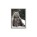 Picture of Snowy Bear _GroupedProduct_Rectangle_Portrait_Photography _GroupedProduct_Rectangle_Portrait_Canvas_Framed_