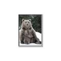 Picture of Snowy Bear _GroupedProduct_Rectangle_Portrait_Photography _GroupedProduct_Rectangle_Portrait_Canvas_Framed_