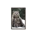 Picture of Snowy Bear _GroupedProduct_Rectangle_Portrait_Photography _GroupedProduct_Rectangle_Portrait_Canvas_Framed_