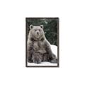 Picture of Snowy Bear _GroupedProduct_Rectangle_Portrait_Photography _GroupedProduct_Rectangle_Portrait_Canvas_Framed_