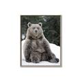 Picture of Snowy Bear _GroupedProduct_Rectangle_Portrait_Photography _GroupedProduct_Rectangle_Portrait_Canvas_Framed_