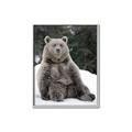 Picture of Snowy Bear _GroupedProduct_Rectangle_Portrait_Photography _GroupedProduct_Rectangle_Portrait_Canvas_Framed_
