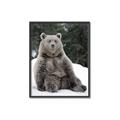 Picture of Snowy Bear _GroupedProduct_Rectangle_Portrait_Photography _GroupedProduct_Rectangle_Portrait_Canvas_Framed_