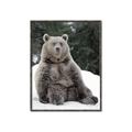 Picture of Snowy Bear _GroupedProduct_Rectangle_Portrait_Photography _GroupedProduct_Rectangle_Portrait_Canvas_Framed_