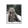 Picture of Snowy Bear _GroupedProduct_Rectangle_Portrait_Photography _GroupedProduct_Rectangle_Portrait_Canvas_Framed_
