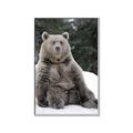 Picture of Snowy Bear _GroupedProduct_Rectangle_Portrait_Photography _GroupedProduct_Rectangle_Portrait_Canvas_Framed_