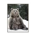 Picture of Snowy Bear _GroupedProduct_Rectangle_Portrait_Photography _GroupedProduct_Rectangle_Portrait_Canvas_Framed_