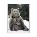 Picture of Snowy Bear _GroupedProduct_Rectangle_Portrait_Photography _GroupedProduct_Rectangle_Portrait_Canvas_Framed_
