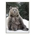 Picture of Snowy Bear _GroupedProduct_Rectangle_Portrait_Photography _GroupedProduct_Rectangle_Portrait_Canvas_Framed_