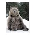 Picture of Snowy Bear _GroupedProduct_Rectangle_Portrait_Photography _GroupedProduct_Rectangle_Portrait_Canvas_Framed_