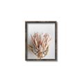 Picture of Soft Pink _GroupedProduct_Rectangle_Portrait_Photography _GroupedProduct_Rectangle_Portrait_Canvas_Framed_