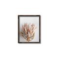 Picture of Soft Pink _GroupedProduct_Rectangle_Portrait_Photography _GroupedProduct_Rectangle_Portrait_Canvas_Framed_