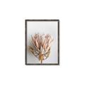 Picture of Soft Pink _GroupedProduct_Rectangle_Portrait_Photography _GroupedProduct_Rectangle_Portrait_Canvas_Framed_