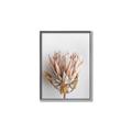 Picture of Soft Pink _GroupedProduct_Rectangle_Portrait_Photography _GroupedProduct_Rectangle_Portrait_Canvas_Framed_