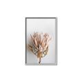 Picture of Soft Pink _GroupedProduct_Rectangle_Portrait_Photography _GroupedProduct_Rectangle_Portrait_Canvas_Framed_